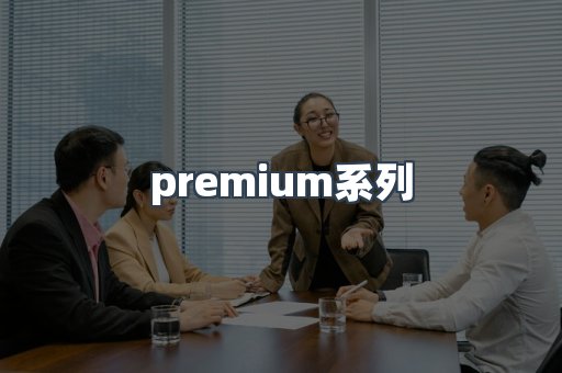 premium系列